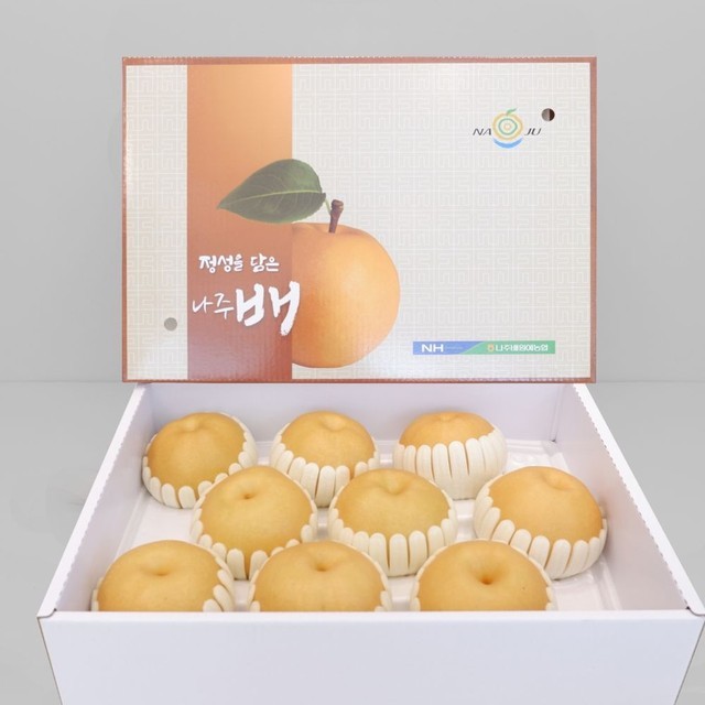 원항 이미지