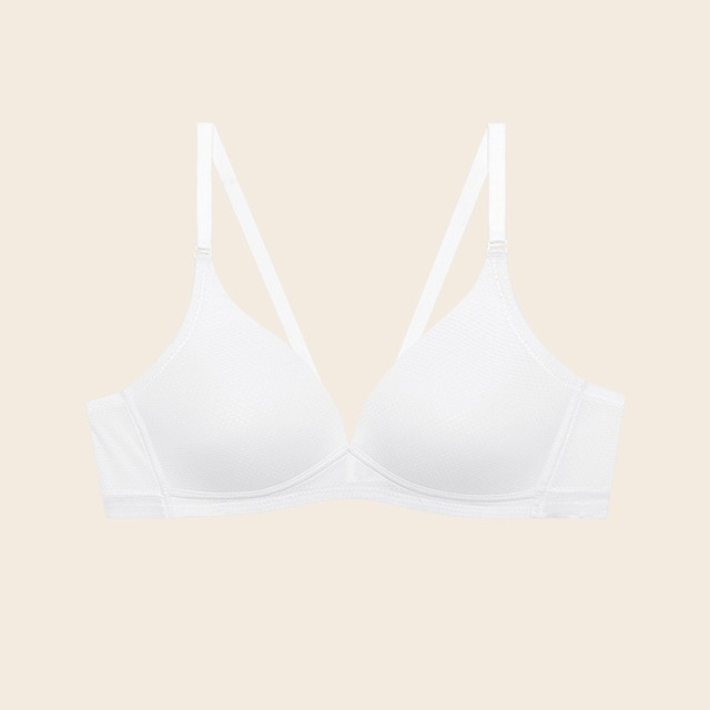 수아팜 이미지