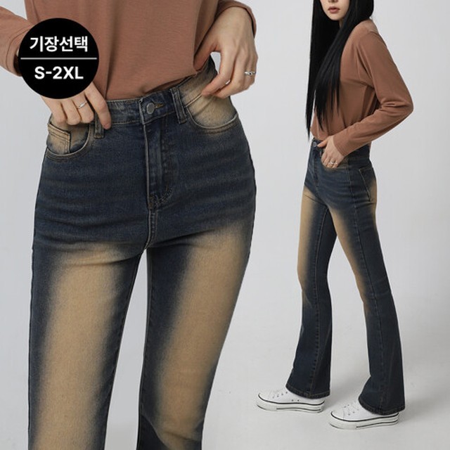 마로니 이미지