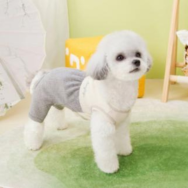 사계절 이미지