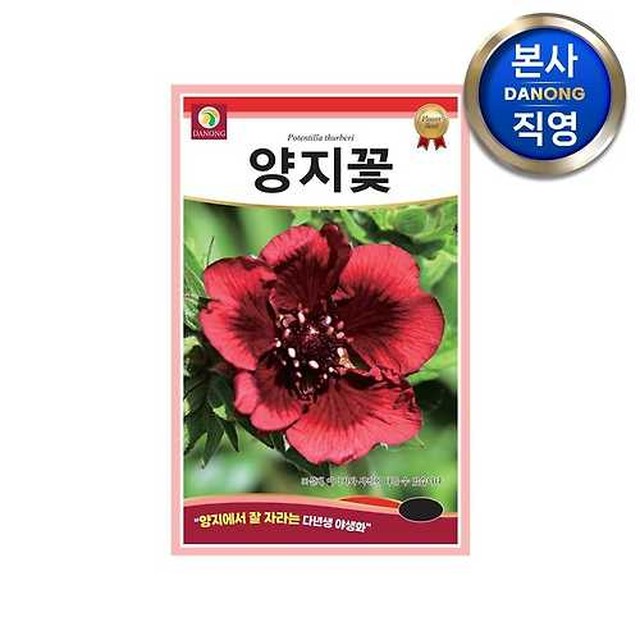다농 이미지