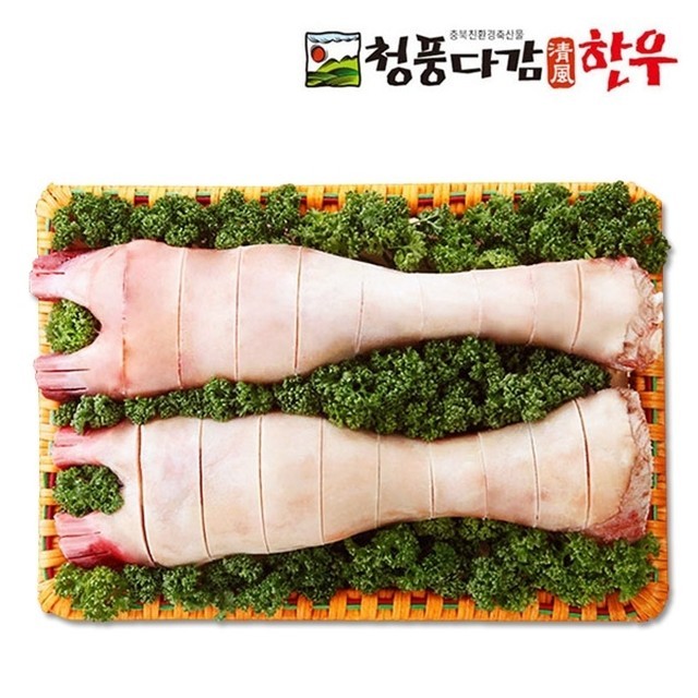 다감 이미지