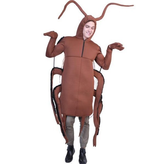 코스튬 이미지