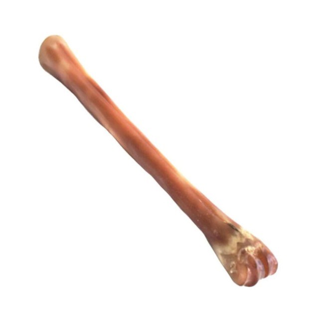 슬릭 이미지