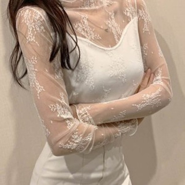 폴라 이미지