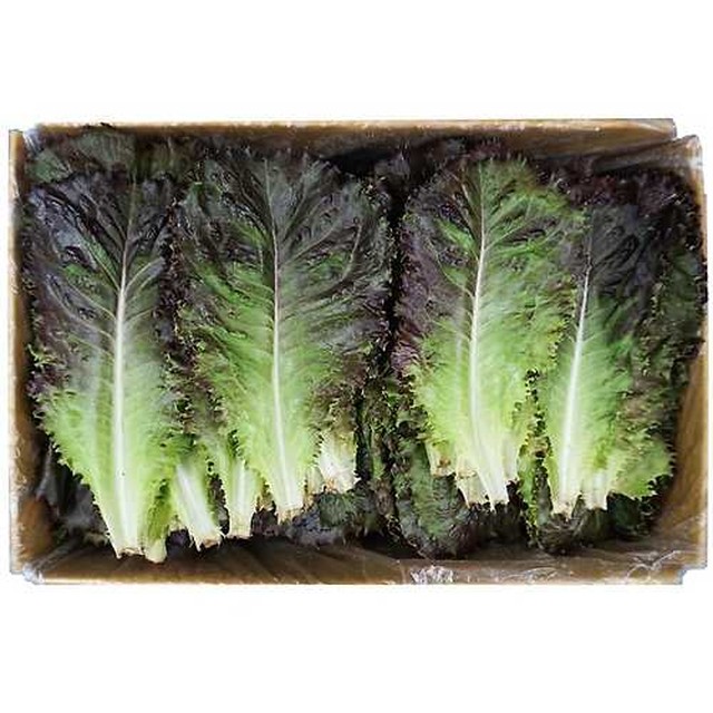 GreenFarm 이미지