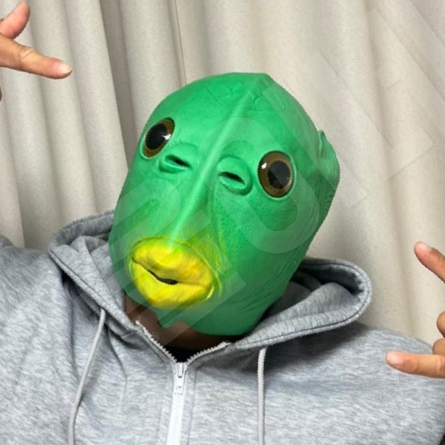 파티가 이미지