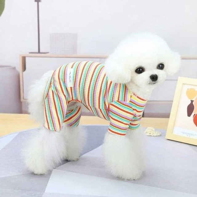 올인원 이미지