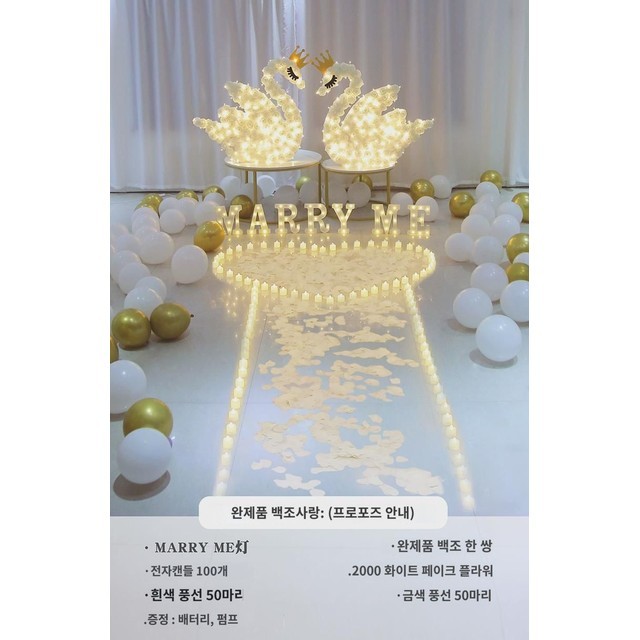 백조사 이미지