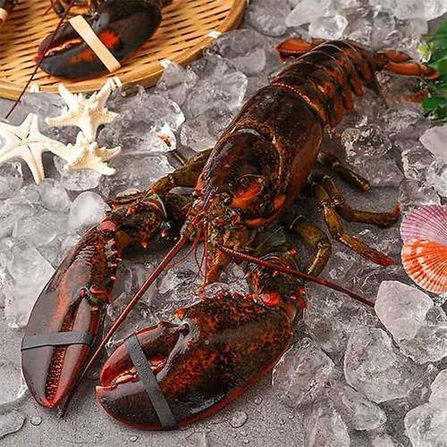맛남 이미지