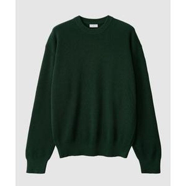 딥247 이미지