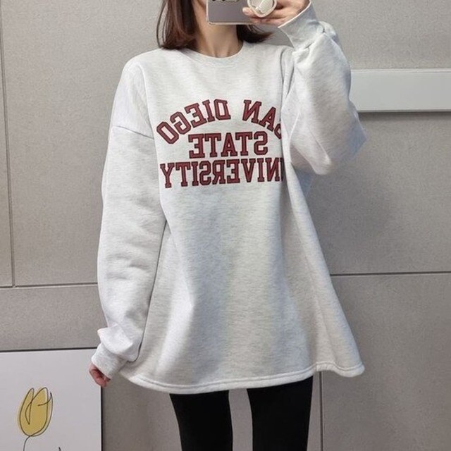 샌디빈 이미지