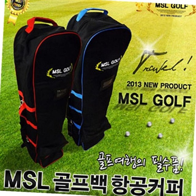 엠에스엘 이미지