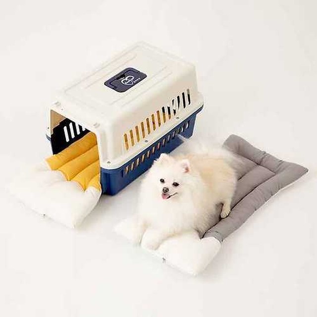 빼꼼이네 이미지