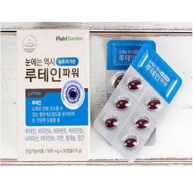 가든 이미지