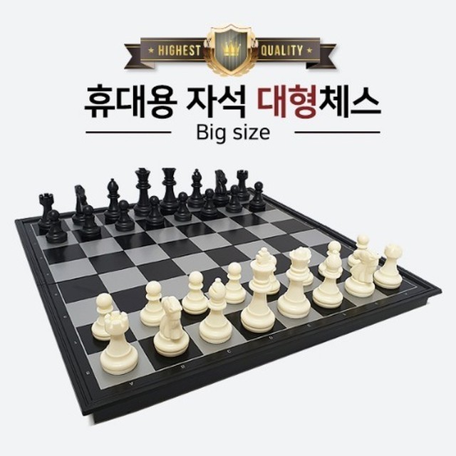 체스 이미지