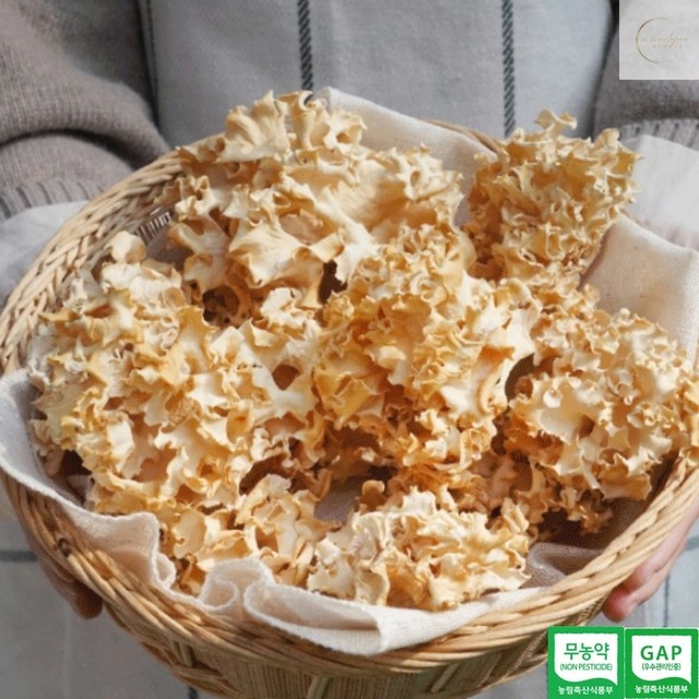 버섯 이미지
