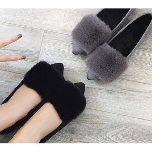 제시슈 이미지