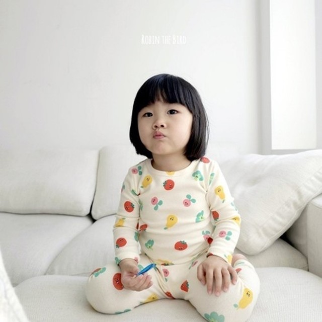 로빈 이미지