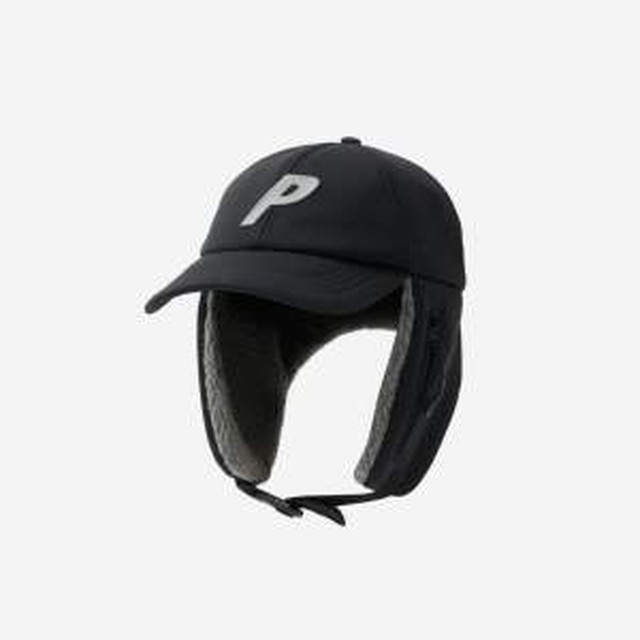 팔라스 이미지