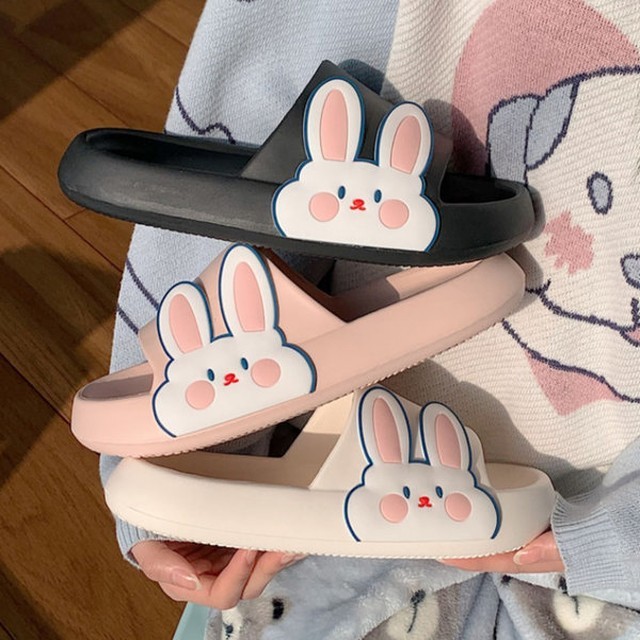 제시슈 이미지