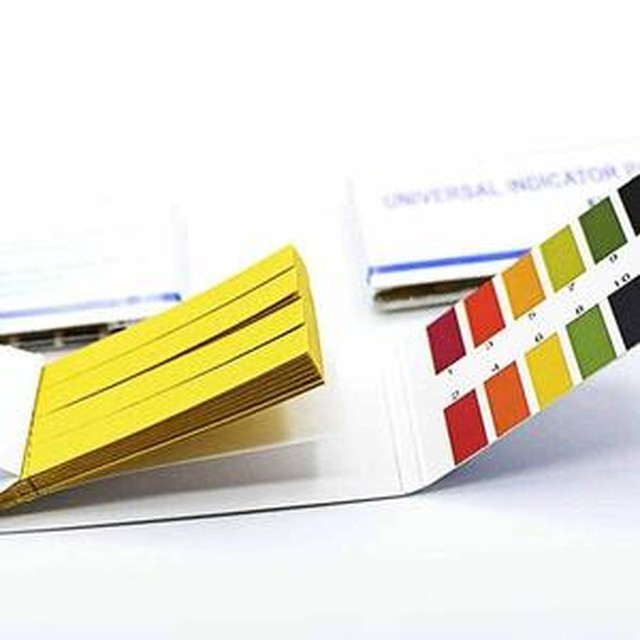 리트머스 이미지