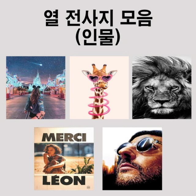 다원몰 이미지