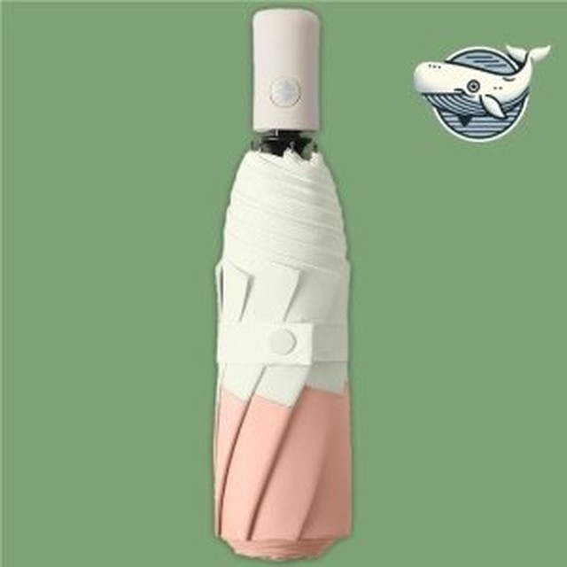 여행디자인 이미지