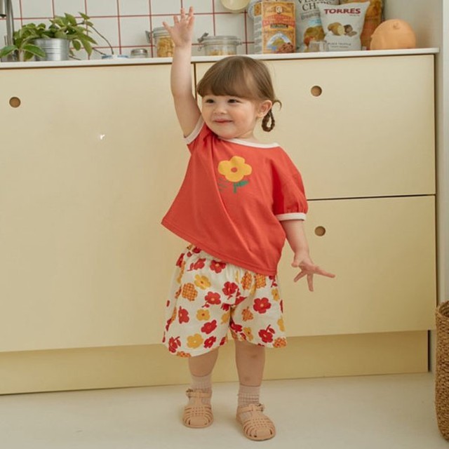 다조아 이미지