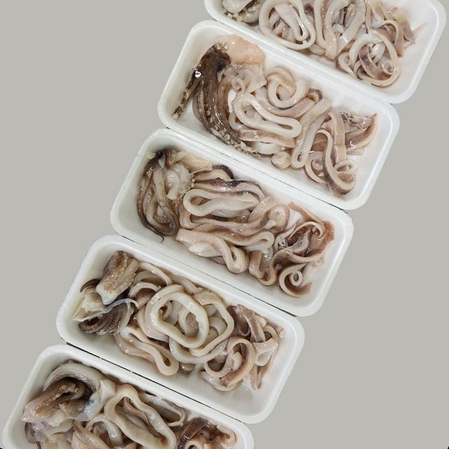 오징어야 이미지