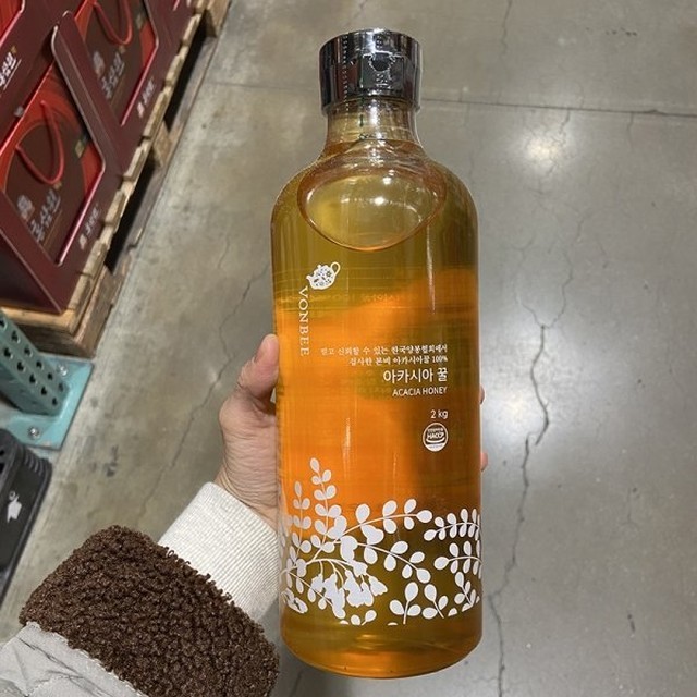 본비 이미지