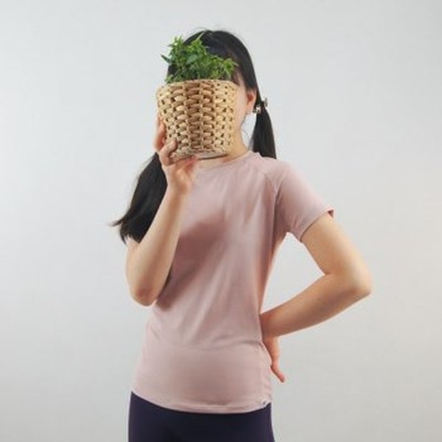솔라이즈 이미지