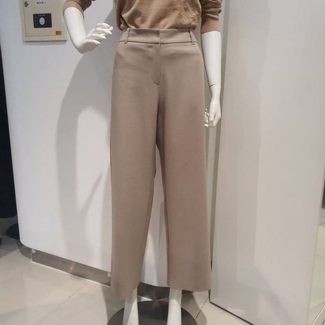 안지크 이미지