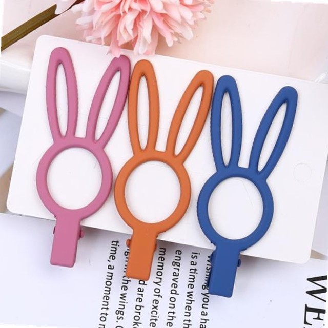 헤어레빗 이미지