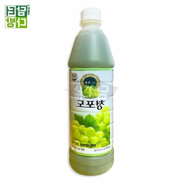 청솔 이미지