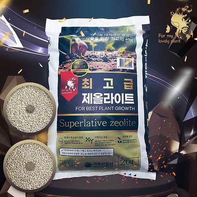 거목 이미지