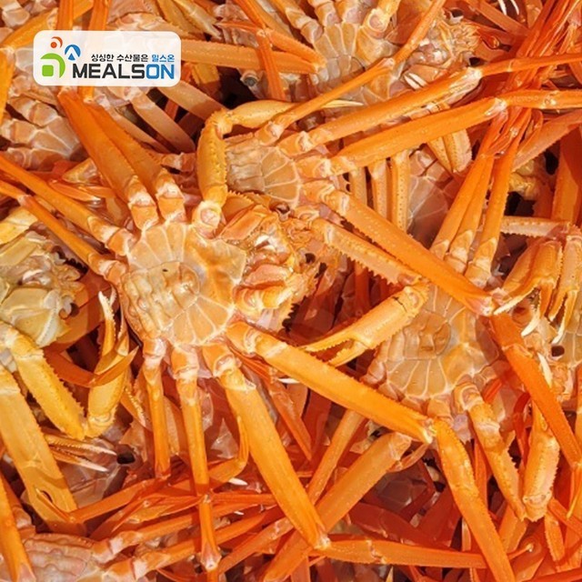 밀스 이미지