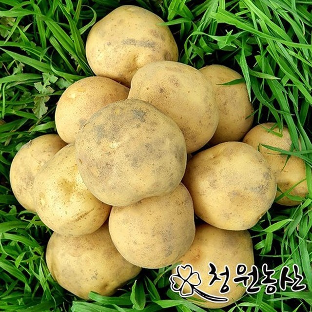 청원 이미지