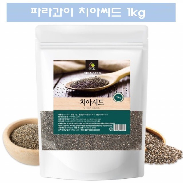 씨드 이미지