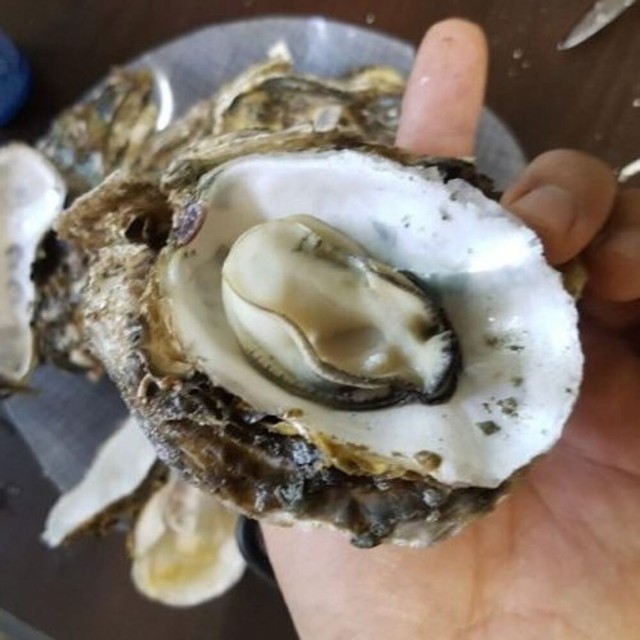산들바다 이미지