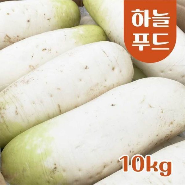 무 이미지