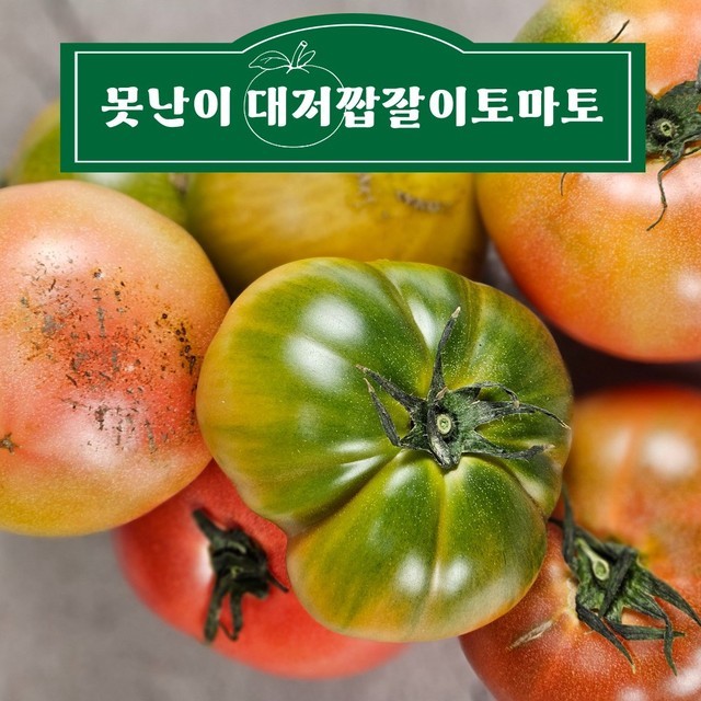 토마토 이미지