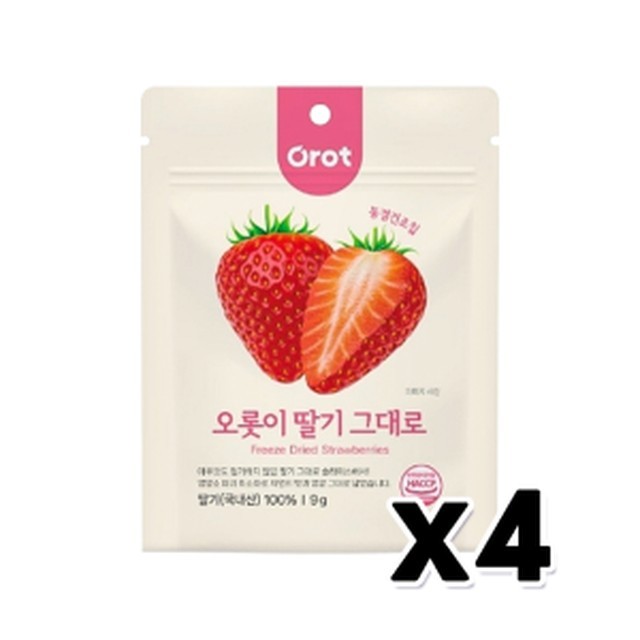 오롯이 이미지