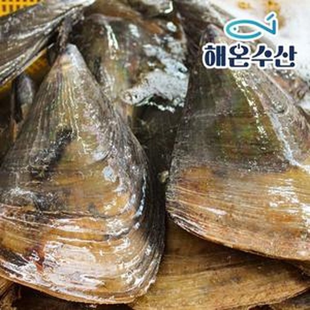 자연산 이미지