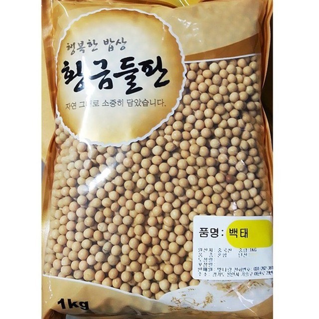 콩 이미지