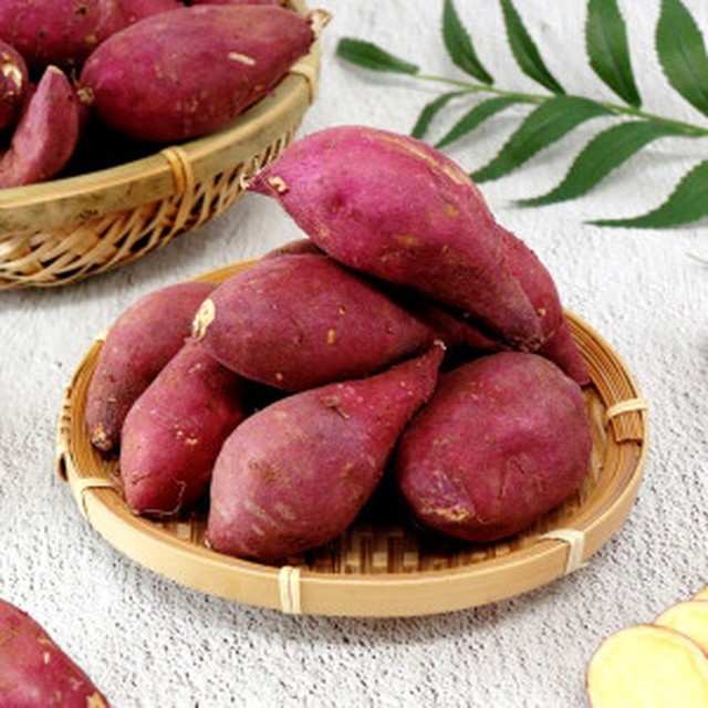바로푸드 이미지