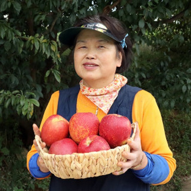 과일꾼 이미지