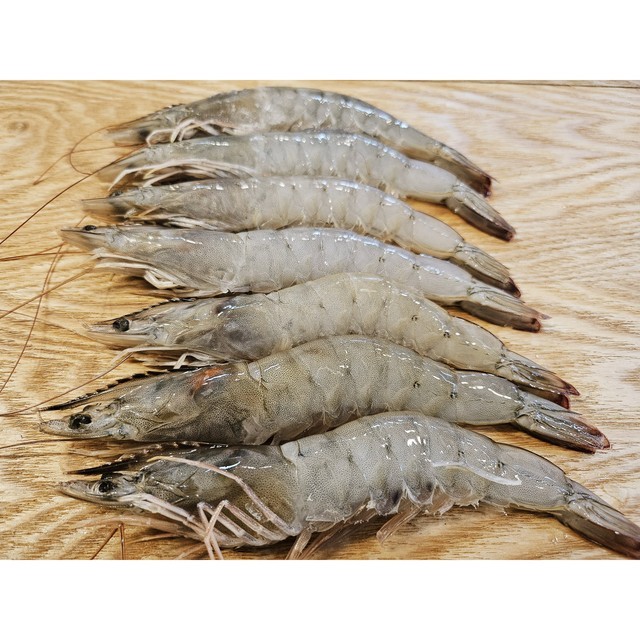 야옹이네상점 이미지