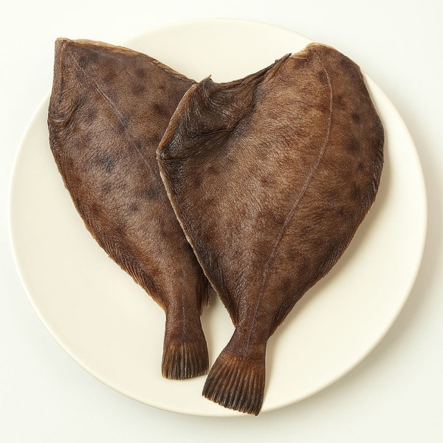 늘해랑 이미지
