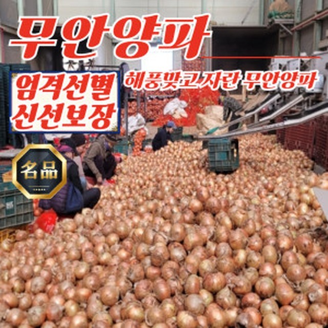양파 이미지